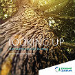 Qatalum Releases First Annual Sustainability Report